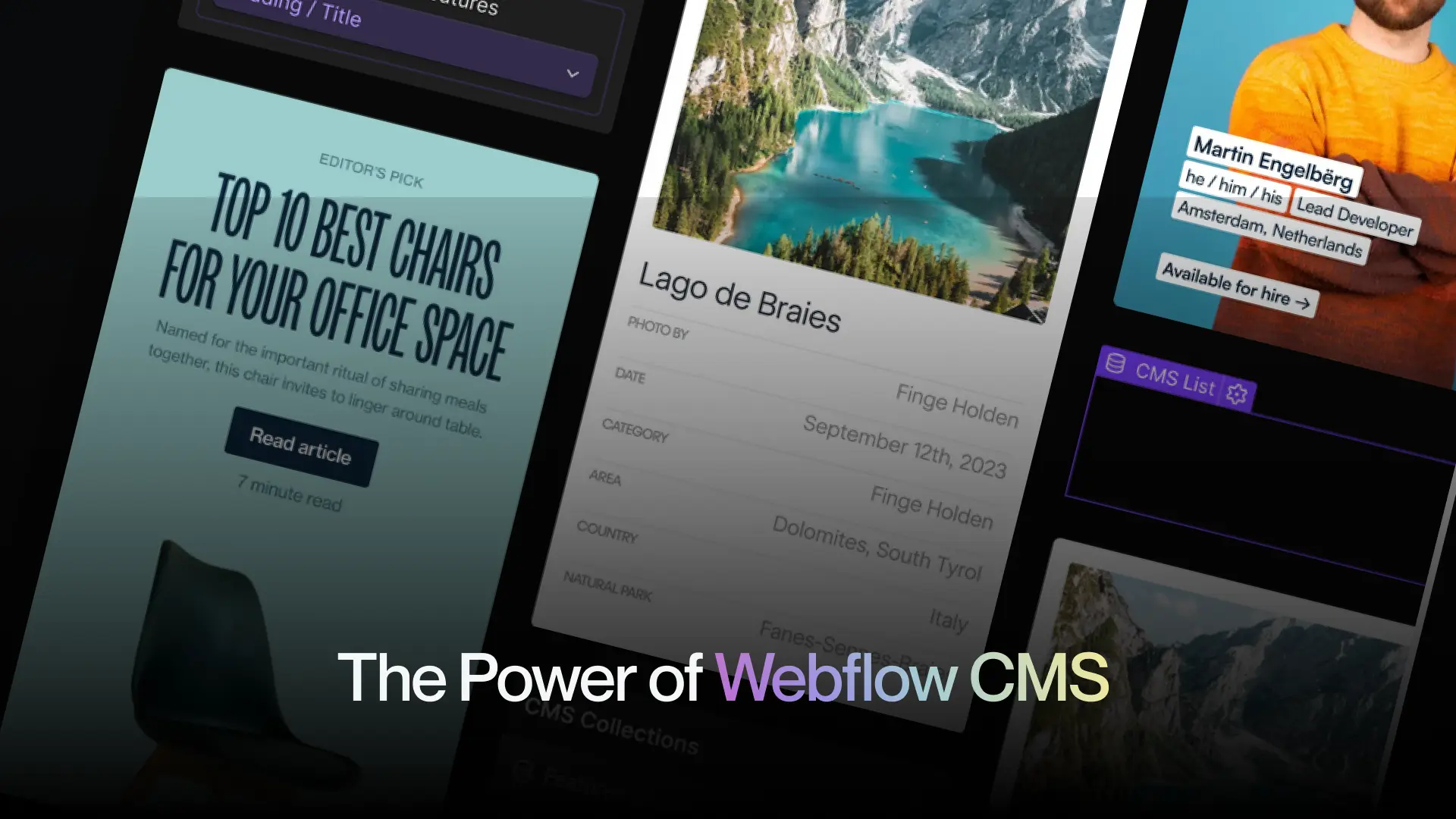 The Power of Webflow CMS