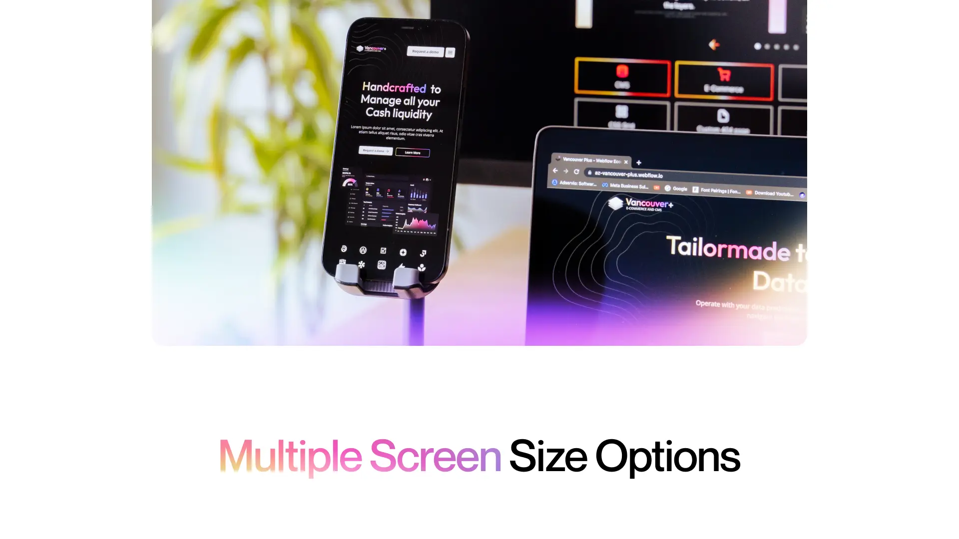 Multiple Screen Size Options