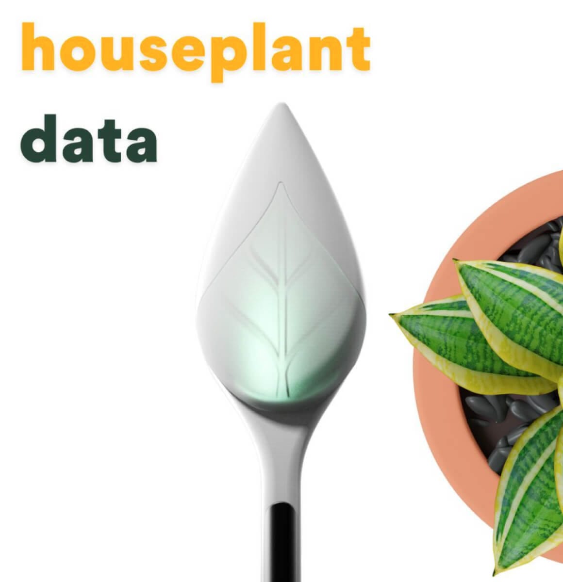 Krado houseplant image