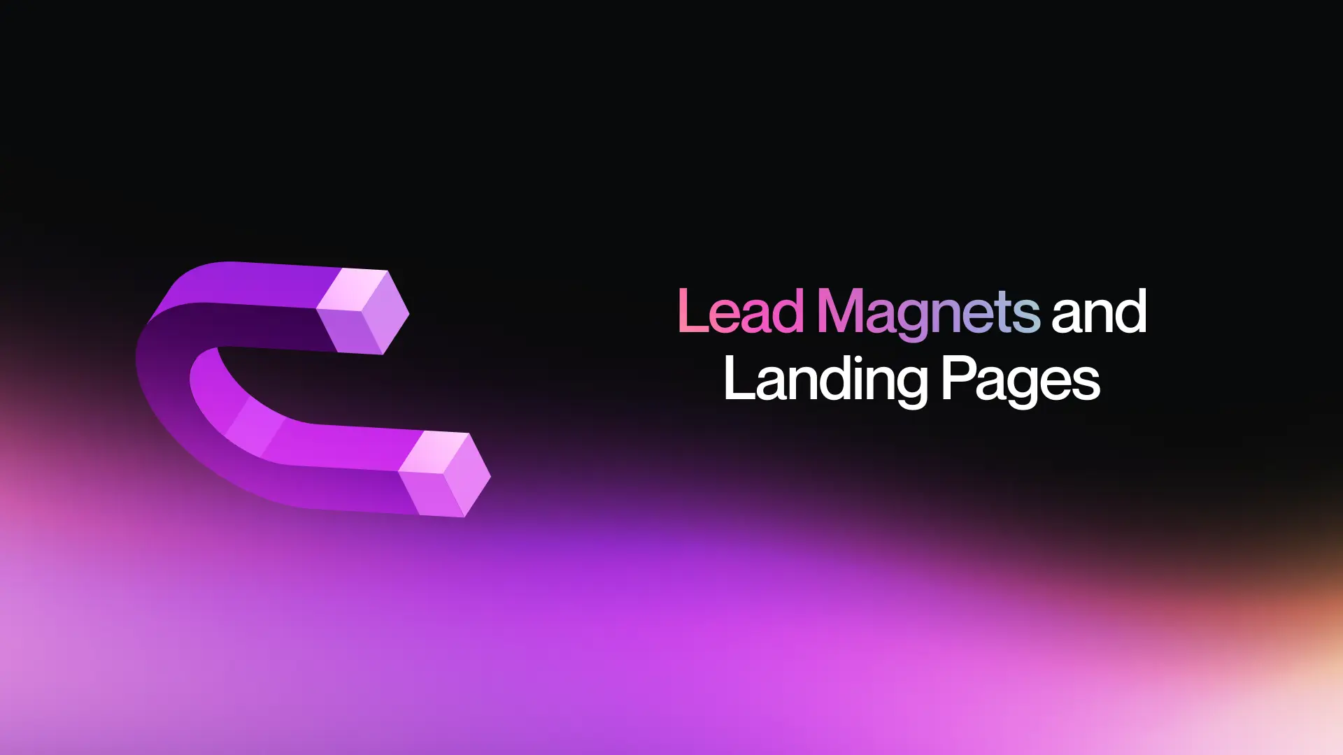 9 - Lead Magnets and Landing Pages