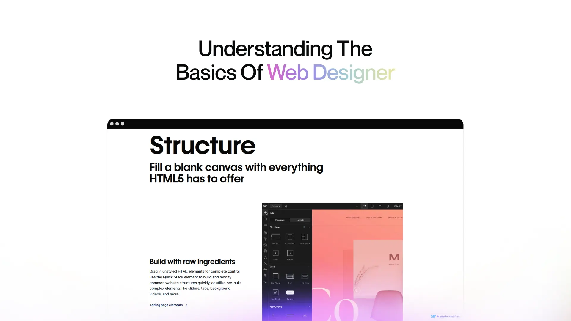 Understanding the Basics of Web Designer