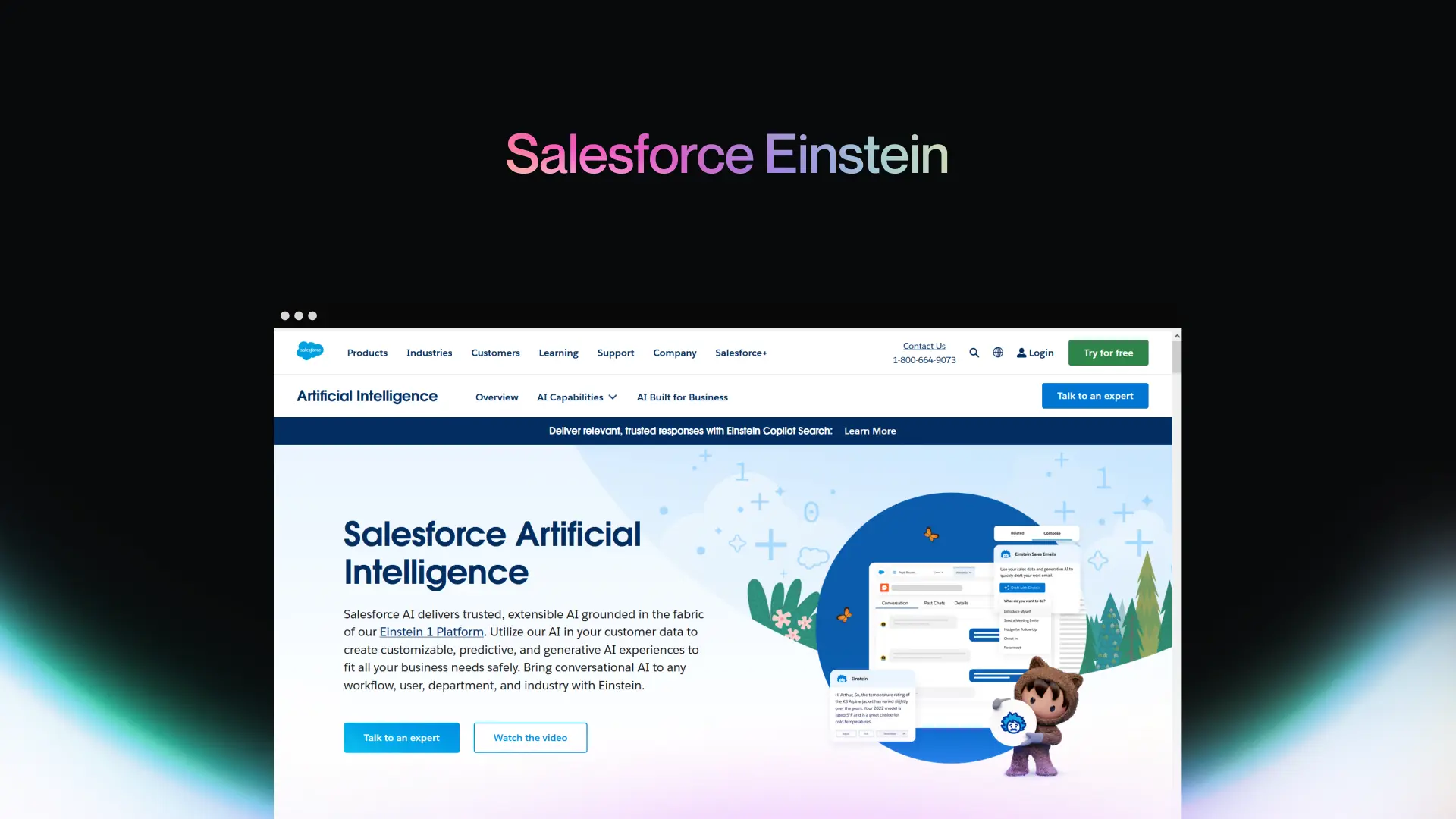 Salesforce Einstein