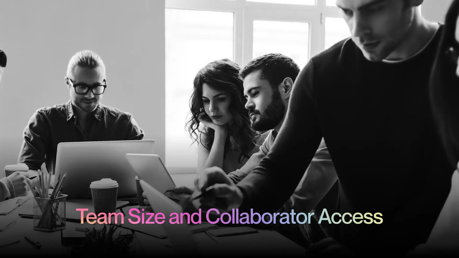 3. Team Size and Collaborator Access